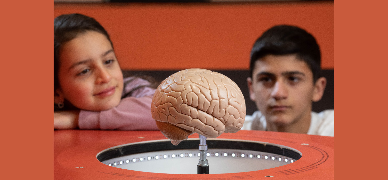 מבלבלים את המוח - אשליות