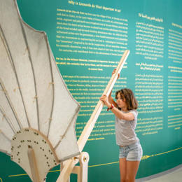 בעקבות לאונרדו