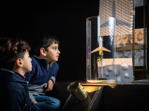 צל של מטוס - טקסטורות שונות