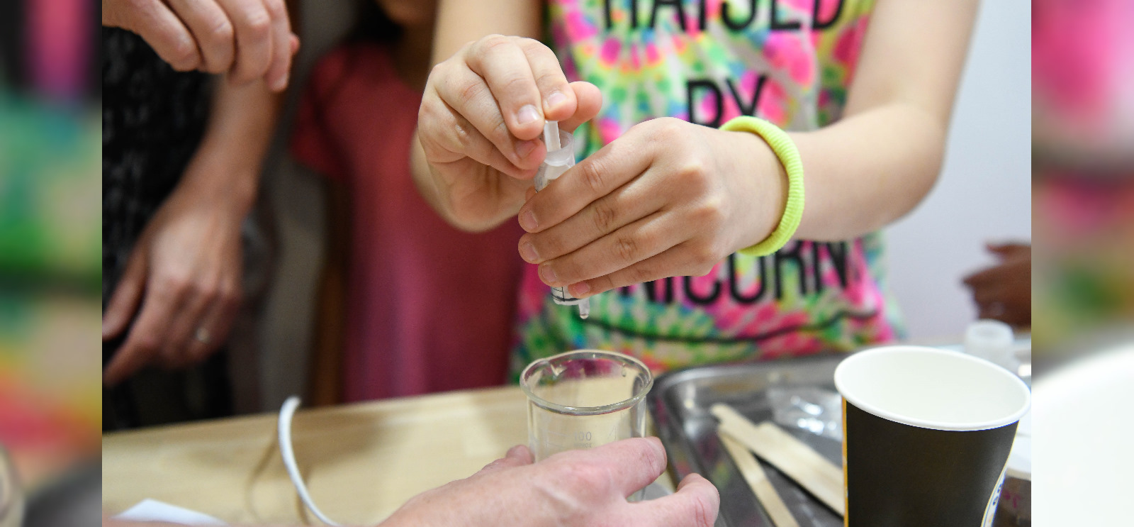 פלסטיק - האתגר