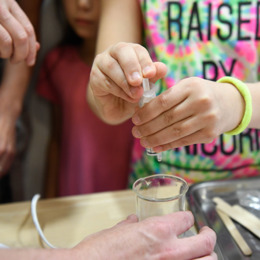 פלסטיק האתגר